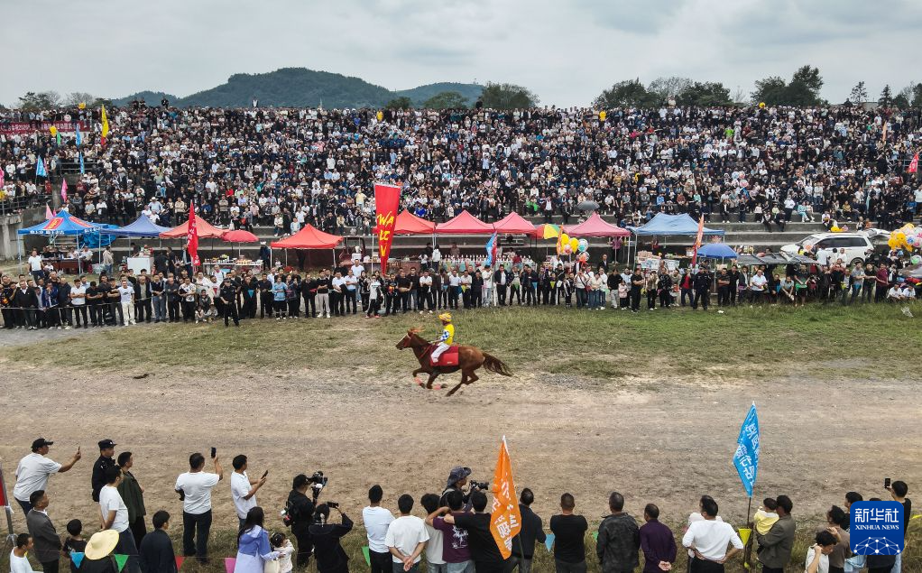永利集团有限公司相关图片